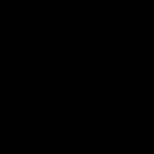 Meet your Posher, Sloane